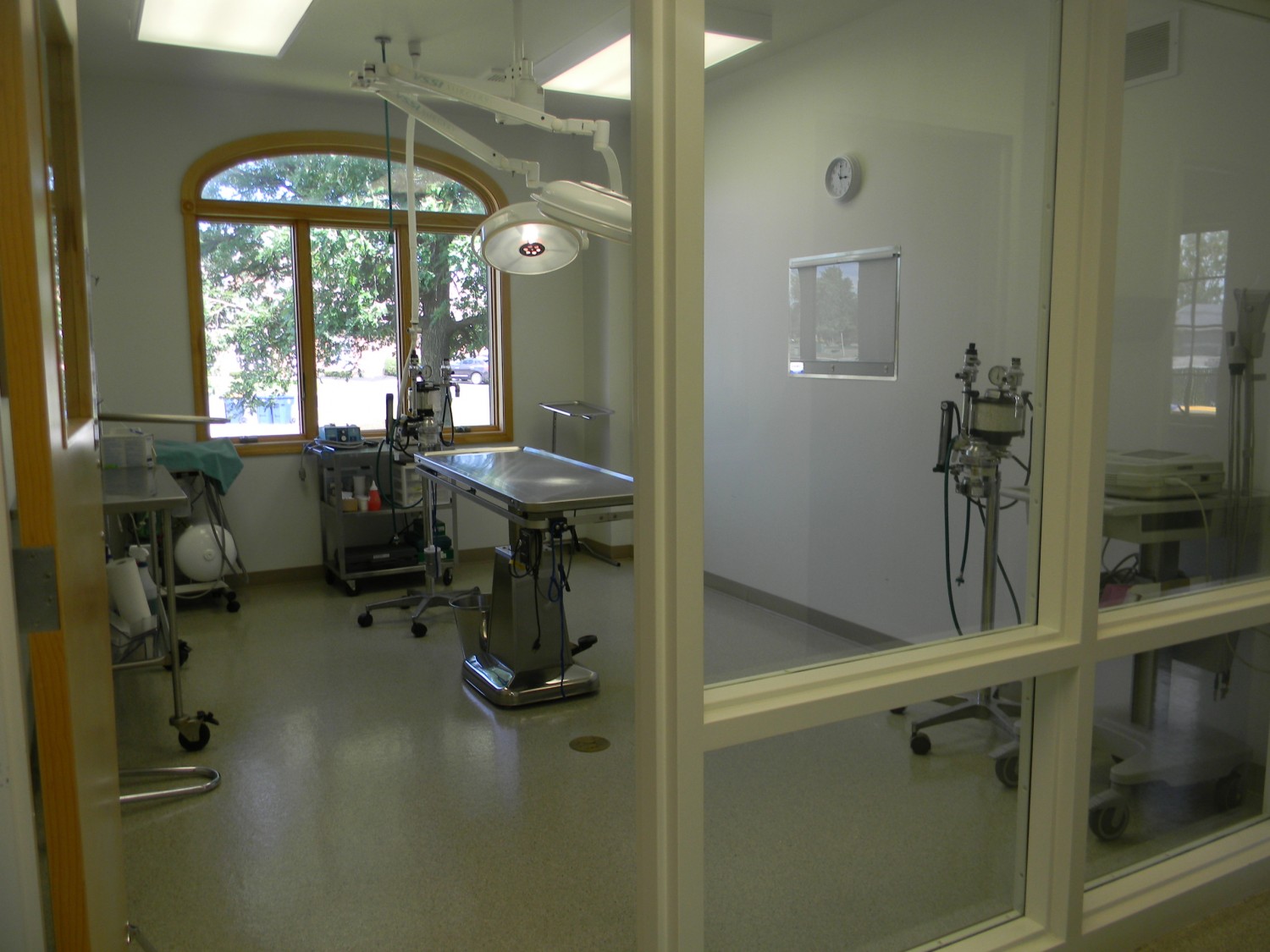 Cornerstone Veterinary Clinic Lockport, NY Services