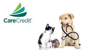 Care Credit Banner